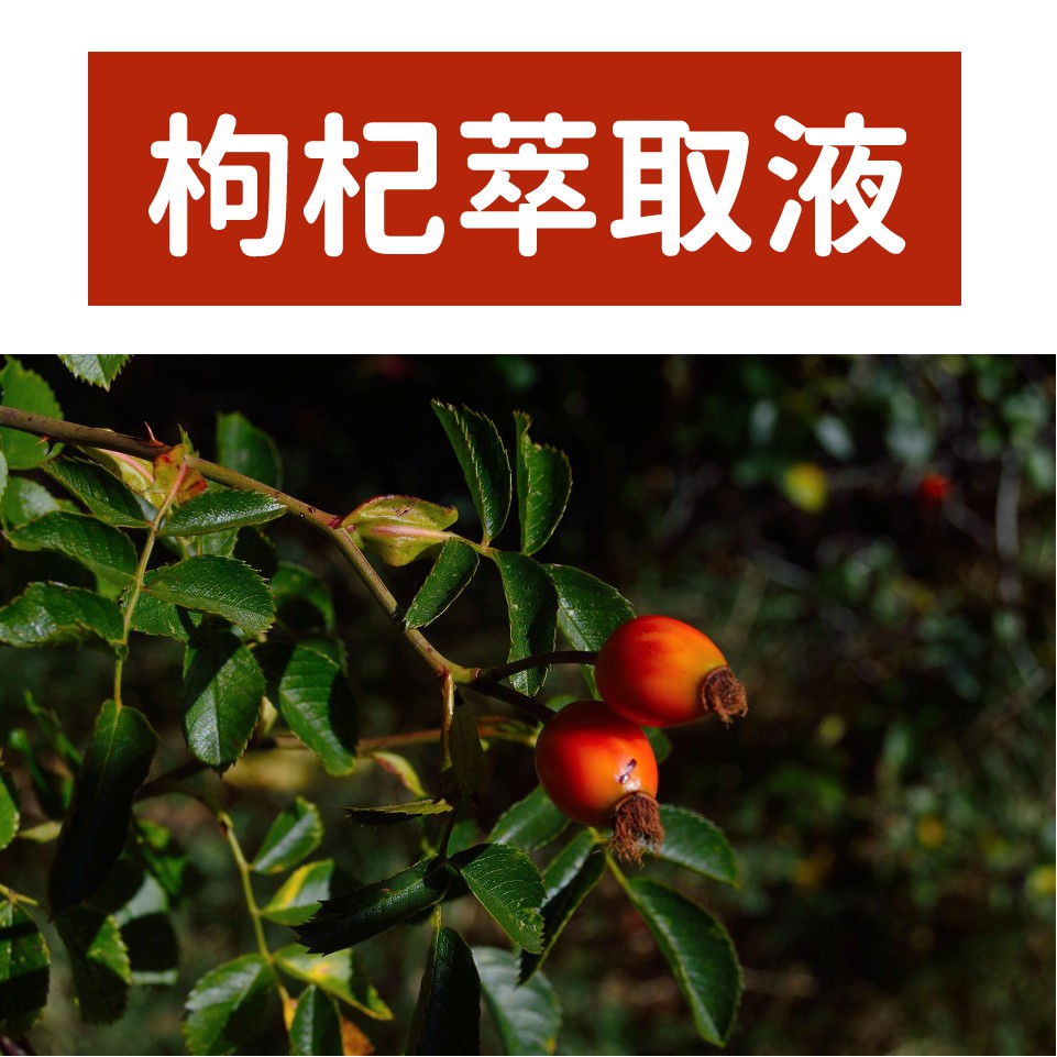 🌳植物萃取🌳『現貨』枸杞萃取液 Goji Berry (Lycium Chinense) Fruit Extract