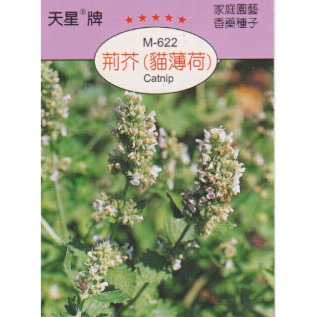 特價新商品 荊芥 貓薄荷【香藥草種子】天星牌 小包裝種子