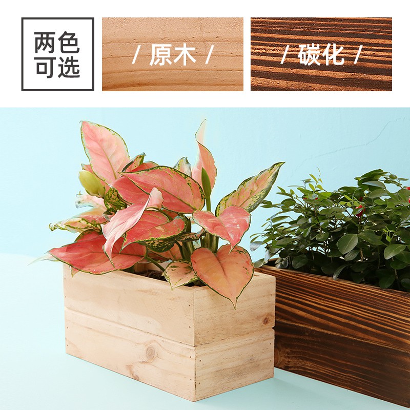 碳化長方形花盆種菜箱種花大種植木箱防腐木花箱陽臺戶外多肉花槽 蝦皮購物