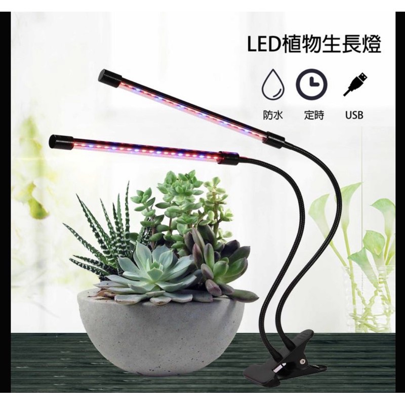 Led植物燈紅藍光9成新使用半個月 蝦皮購物