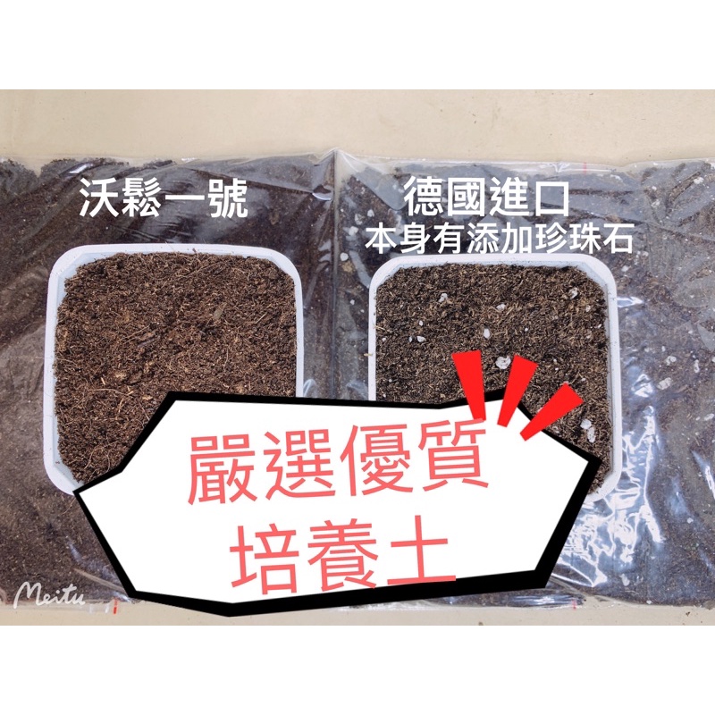 沃鬆泥炭土 Ptt Dcard討論與高評價網拍商品 2021年11月 飛比價格