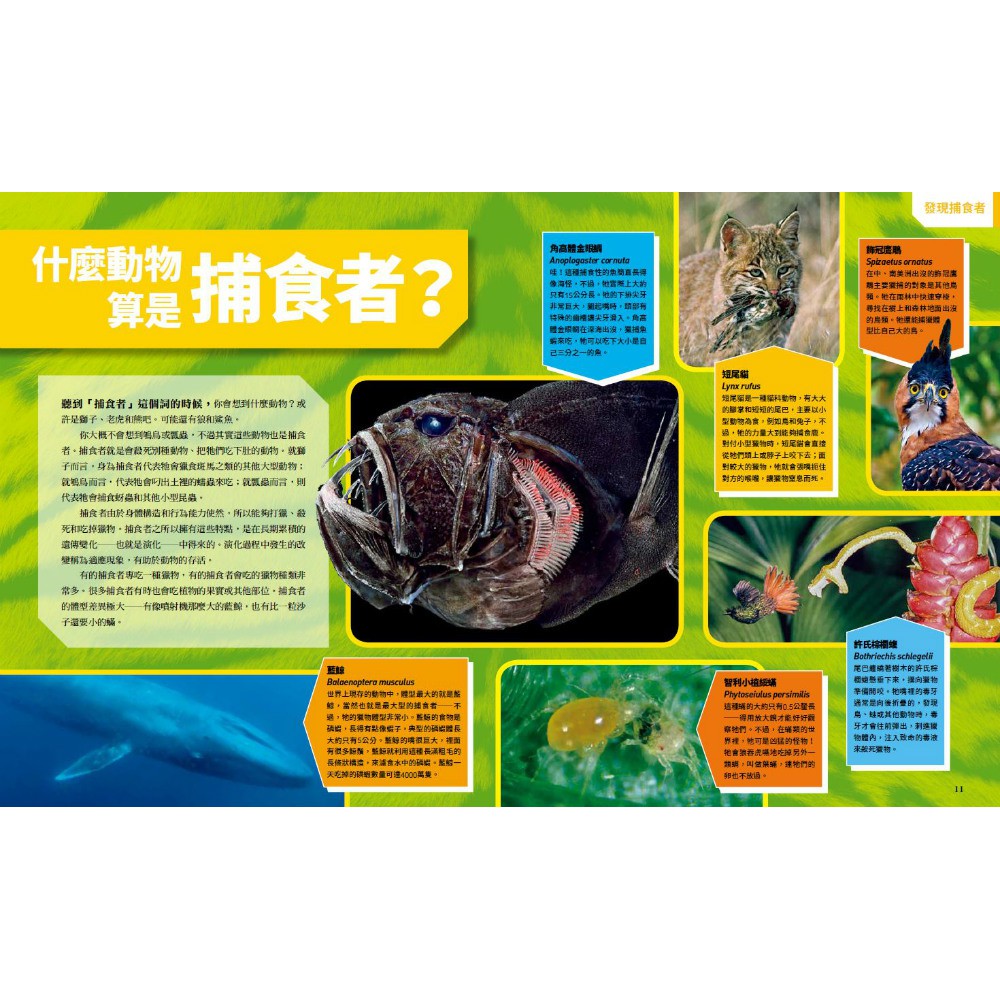 國家地理終極捕食動物百科 有史以來最完整的世界捕食動物大全 蝦皮購物