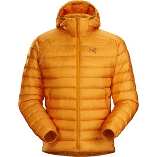 Arc'teryx 始祖鳥 男款 Cerium LT 輕薄羽絨連帽外套 羽絨衣 18013 綠野山房