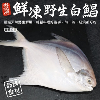 鮮嫩野生白鯧魚2尾組(每尾220g-280g)【海陸管家】滿額免運