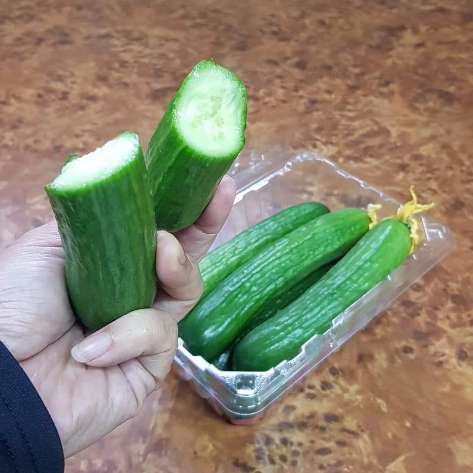 2盒裝 新鮮現採 溫室水果小黃瓜 以色列小黃瓜 預購 蝦皮購物