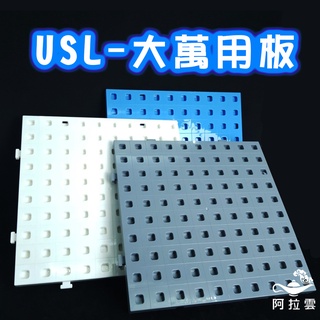 【阿拉雲市集】商檢合格-遊思樂USL 大萬用板1片組(2公分連線方塊適用) 教師教學素材 兒童玩具 兒童節