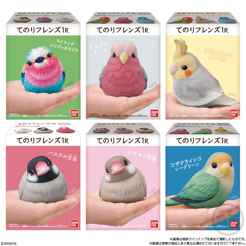 🔥現貨🔥日本 BANDAI 萬代 小鳥鸚鵡盒玩  整組八支
