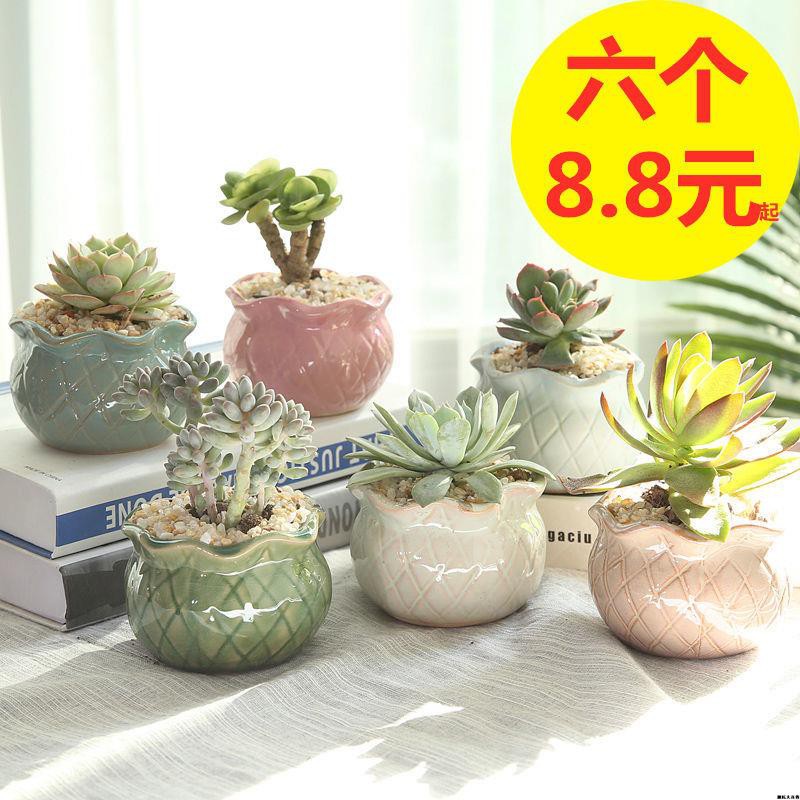 多肉花器 優惠推薦 21年8月 蝦皮購物台灣