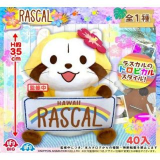 [現貨] 日本 toreba 抓樂霸 景品 小浣熊 拉斯卡爾 puchi rascal夏威夷 吉他 大型 小型 娃娃