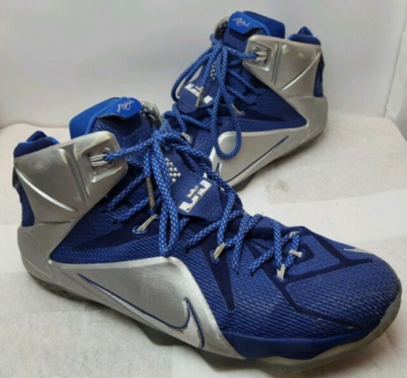 lebron 12 blue and white