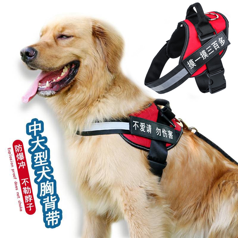 出清超便宜 義大利飛寶ferplast 愛吉拉胸背帶寵物用品狗狗胸背犬用胸背帶泡棉胸背帶單胸背 蝦皮商城