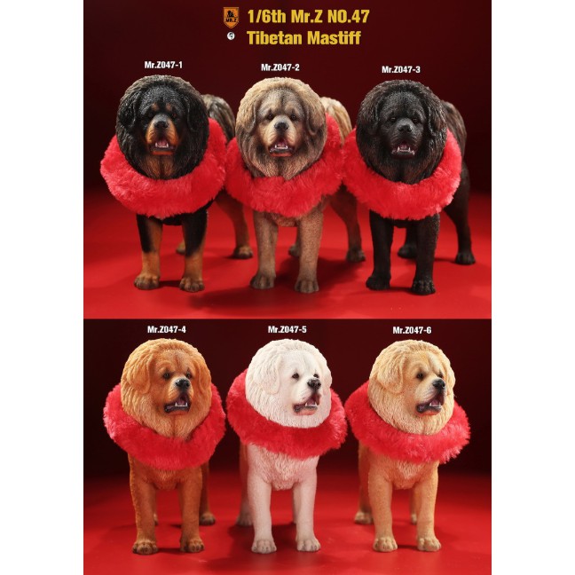 那間模型 Mr Z 模型藏獒獒犬狗仿真玩具寵物裝飾品擺飾收藏生日禮物送禮 蝦皮購物