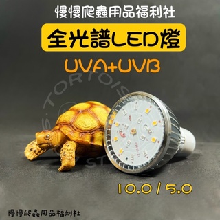 《慢慢爬》LED UV燈泡 全光譜 UVA UVB 8W E27 爬蟲 曬背 UV 陸龜 澤龜 蜥蜴 蜘蛛
