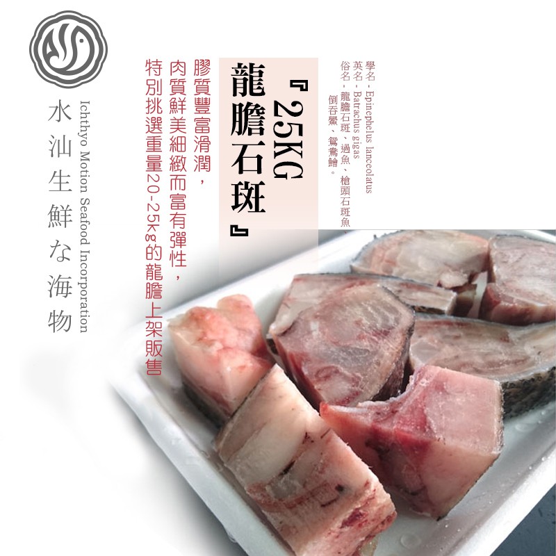 【水汕海物】寶島斑中之王 龍膽石斑 25kg級 頭塊切丁