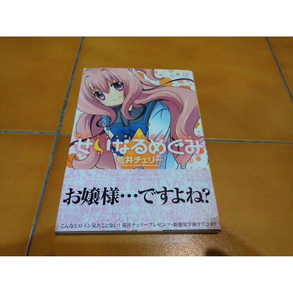 漫畫せいなるめぐみholy Blessing 蝦皮購物