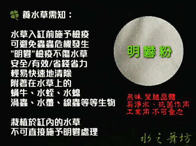 水草檢疫 明礬明礬粉水族專用水草快速檢疫除蟲除螺有效預防去除 水之舞坊 蝦皮購物