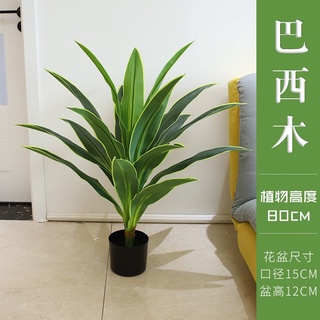 超模擬巴西木🔥擬真植物🔥巴西木植物 水泥盆栽 盆子 盆栽 植物水泥盆 三角水泥盆 水泥盆子