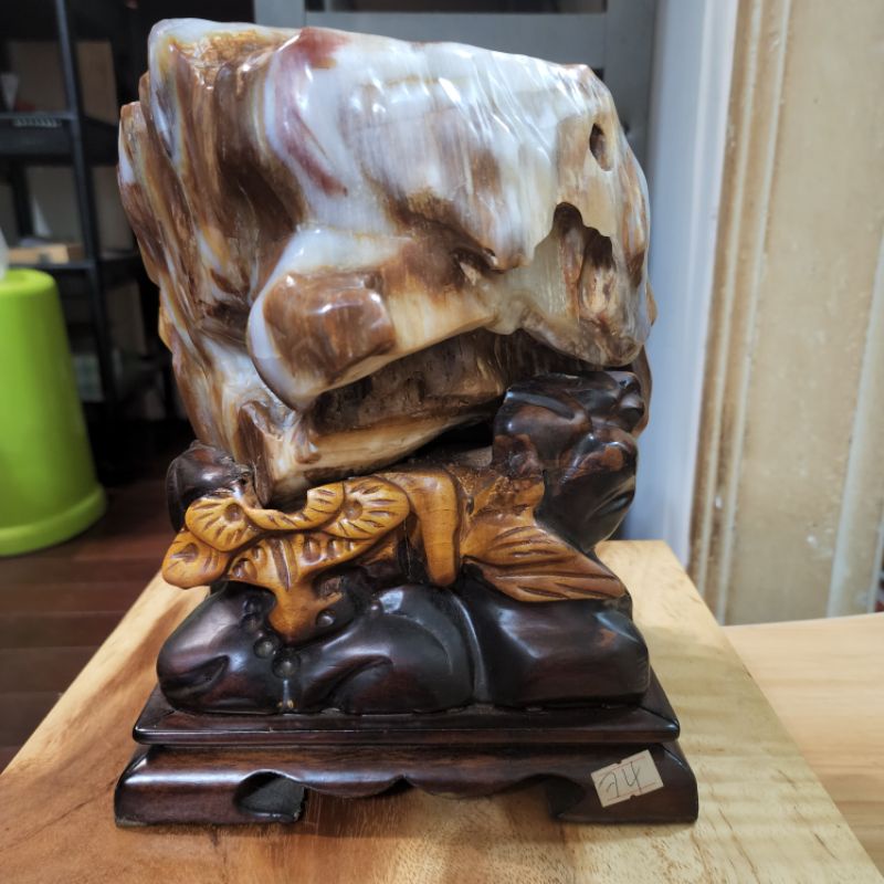 限定タイムセール 極上質 本物 ミャンマー産樹化玉 樹化石 風水 開運