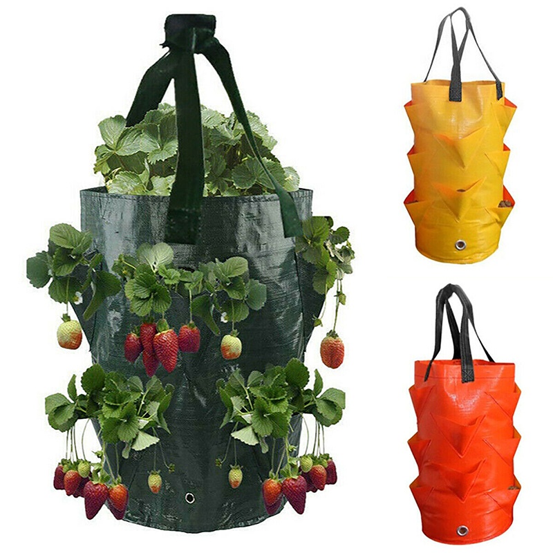 新的!! 3 加侖花園植物種植盆栽植物種植袋胡蘿蔔洋蔥番茄土豆 10 個種植孔懸掛草莓袋