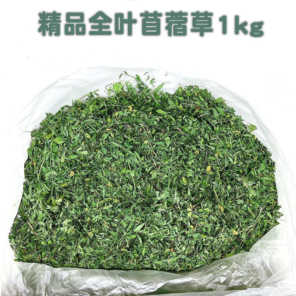 21年優質紫花苜蓿草全葉兔糧兔子豚鼠龍貓干草飼料兔草糧1kg 超取3件內 蝦皮購物