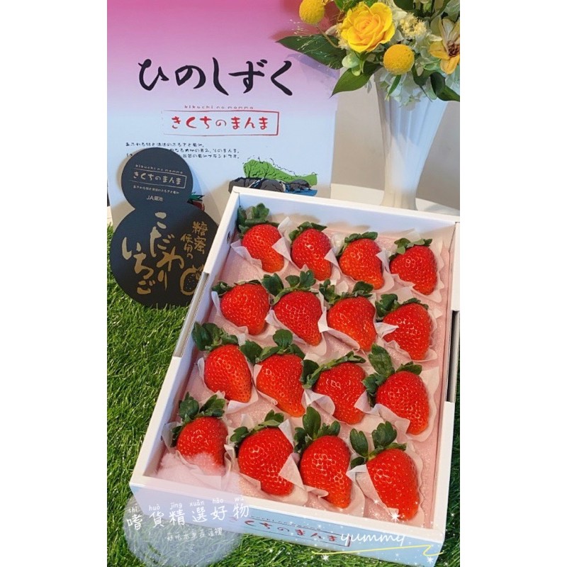 各式日本草莓蜜糖草莓菊池糖蜜草莓長崎糖蜜草莓古都華草莓淡雪草莓熊本熊草莓福岡草莓唐津草莓圓盒淡雪大妃美 蝦皮購物