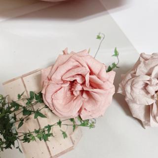 Dora 日本大地農園永生花不凋花薔薇瑪莉安裸粉杏色 蝦皮購物