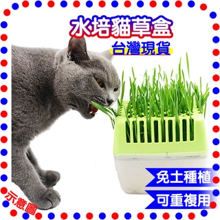 水耕盒的價格推薦 21年11月 比價撿便宜