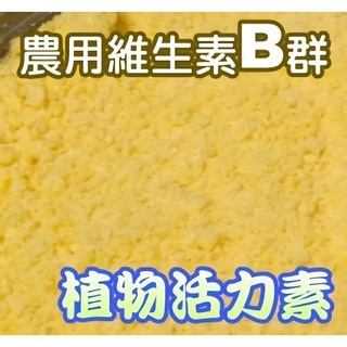 現貨-植物活力素B群維生素 可溶性粉劑 扦插繁殖 播種育苗 鮮花保鮮 【花園城堡】