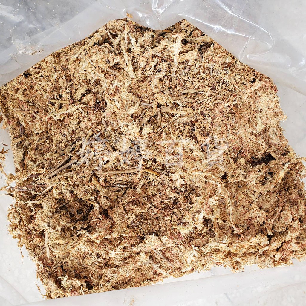 乾燥水苔 散包裝 甲蟲底材寵物保濕水草園藝多肉植物蘭花 蝦皮購物