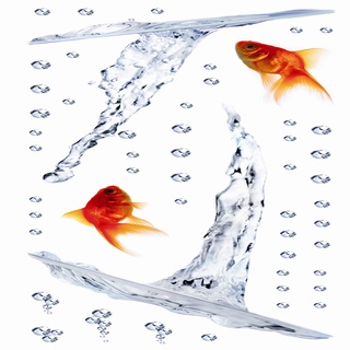義大利進口HOME DECOR 牆壁貼飾 15cmX31cm 魚(C41008)