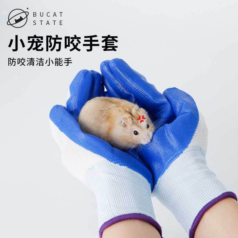 【寵愛😺寵物】倉鼠防咬手套 龍貓豚鼠荷蘭豬金絲熊防咬保護手套 貓咪防抓咬手套 倉鼠玩耍防咬手套 小寵防啃手手套 抓寵手套