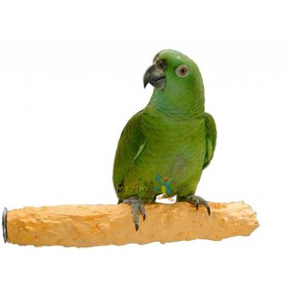 《寵物鳥世界》Amigo阿迷購 美國帕麗 墨魚骨高鈣水果棲棒(大)│補充鈣質 水果口味 鸚鵡 鳥棲木 AM0141