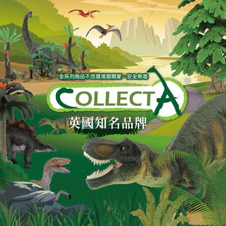 【美國媽咪】CollectA 英國高擬真模型系列 超擬真迷你動物模型 野生動物 農場動物 恐龍 海洋生物 動物模型