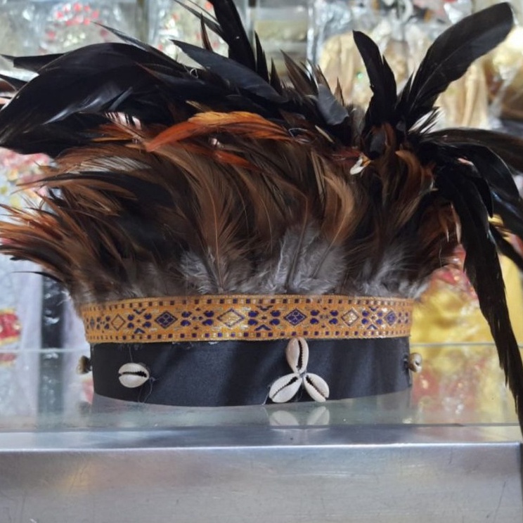 Papuan 傳統羽毛頭飾