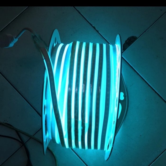 Neon flex 防水 led 燈條軟管燈 50m 50meter 220v 戶外