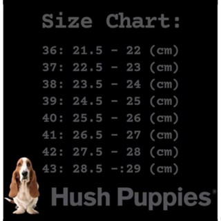Find Our Best 男鞋 Hush Puppies 涼鞋男士女士休閒涼鞋