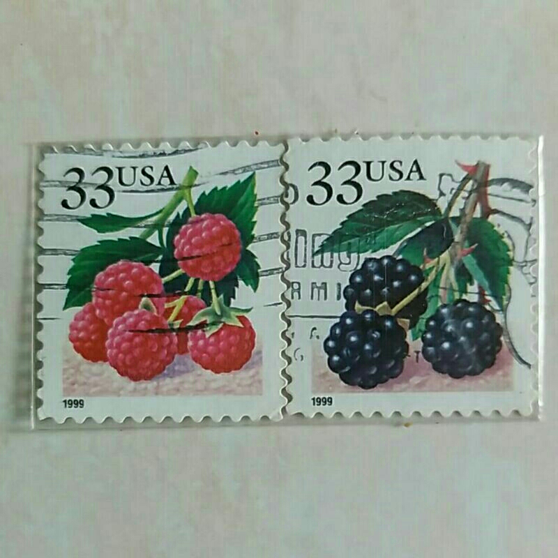美國郵票 1999 年漿果套裝 2 件二手