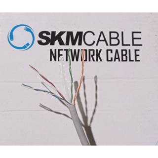 Utp LAN CAT 6 CABLE 室內/室外儀表 SKM 電纜網絡