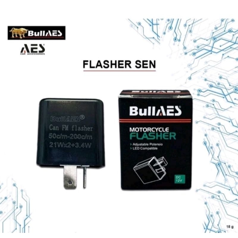 閃光器轉向信號套裝 12v BullAES LED 燈泡快速閃爍速度 Fleser 捲曲感應電機