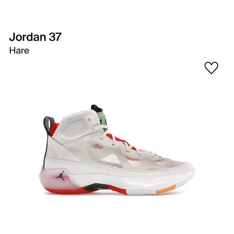 Jordan 37 野兔白
