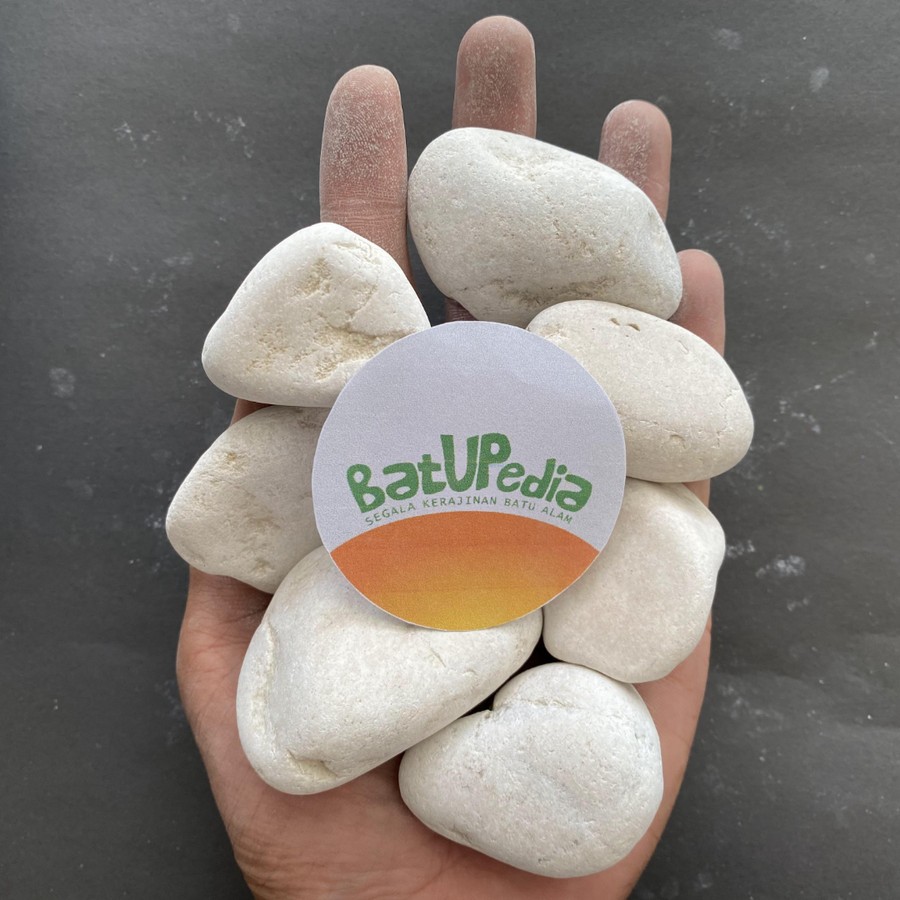 Putih Kupang白珊瑚石適用於花園