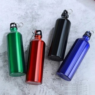 TERMOS PLAIN SPORT 保溫杯登山扣 500ML 不銹鋼不倒翁保溫杯