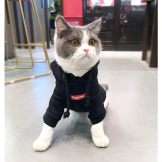 Supreme 狗貓衣服優質貓狗衣服優質厚連帽衫狗貓