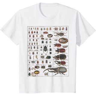 優質昆蟲系列物種蟲子復古圖表昆蟲學 T 恤