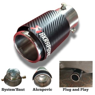 Akrapovic CARBON PNP 排氣管的尾管變體所有汽車