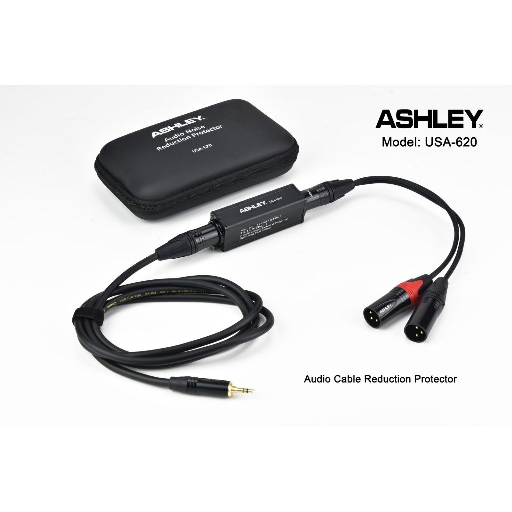 Ashley 音頻噪音電纜 USA-620 2 XLR 公對 1 迷你立體聲 2 米