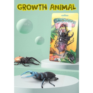 皮比成長動物玩具大型昆蟲動物益智玩具