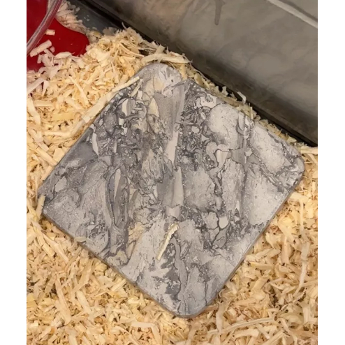 大理石石 10x10 COLLING PAD 用於倉鼠大理石散熱墊天然方形倉鼠