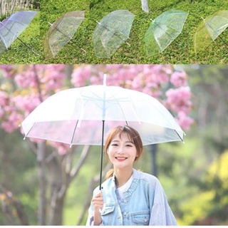 韓國透明傘純透明傘半透明傘