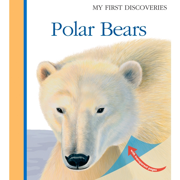 我的第一個發現北極熊